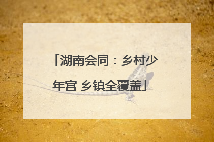 湖南会同：乡村少年宫 乡镇全覆盖