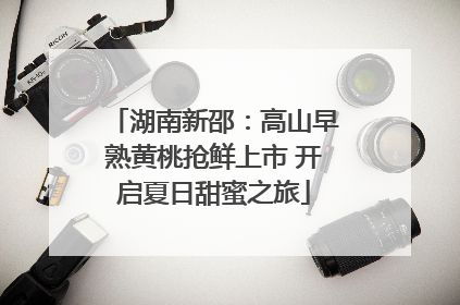 湖南新邵：高山早熟黄桃抢鲜上市 开启夏日甜蜜之旅