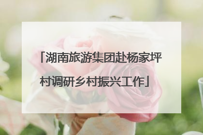 湖南旅游集团赴杨家坪村调研乡村振兴工作