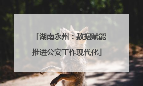 湖南永州：数据赋能推进公安工作现代化