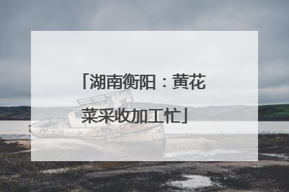 湖南衡阳：黄花菜采收加工忙