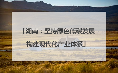 湖南：坚持绿色低碳发展 构建现代化产业体系