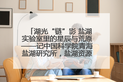 湖光“链”影 盐湖实验室里的星辰与荒原——记中国科学院青海盐湖研究所，盐湖资源化学实验室党总支书记、副主任刘忠