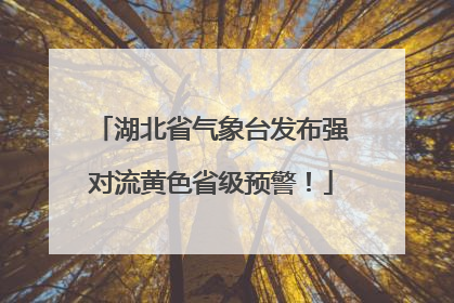 湖北省气象台发布强对流黄色省级预警！