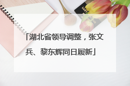 湖北省领导调整，张文兵、黎东辉同日履新