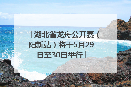 湖北省龙舟公开赛（阳新站）将于5月29日至30日举行