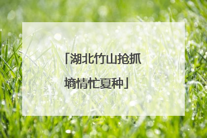 湖北竹山抢抓墒情忙夏种