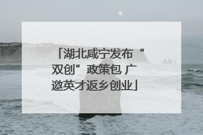 湖北咸宁发布“双创”政策包 广邀英才返乡创业
