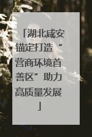 湖北咸安锚定打造“营商环境首善区”助力高质量发展