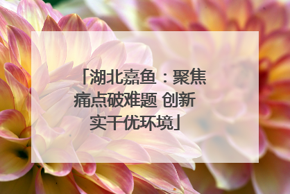 湖北嘉鱼：聚焦痛点破难题 创新实干优环境