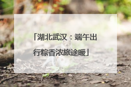 湖北武汉：端午出行粽香浓旅途暖