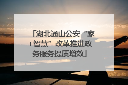 湖北通山公安“家+智慧”改革推进政务服务提质增效