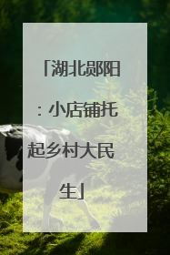 湖北郧阳：小店铺托起乡村大民生