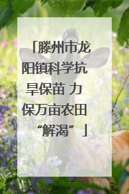 滕州市龙阳镇科学抗旱保苗 力保万亩农田“解渴”