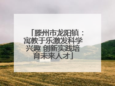 滕州市龙阳镇：寓教于乐激发科学兴趣 创新实践培育未来人才