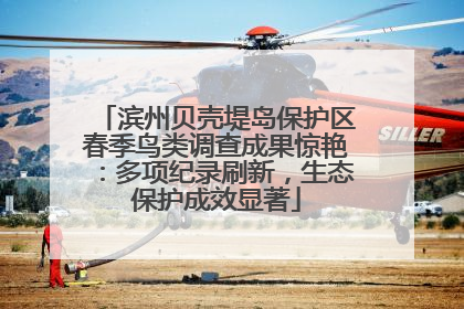 滨州贝壳堤岛保护区春季鸟类调查成果惊艳：多项纪录刷新，生态保护成效显著