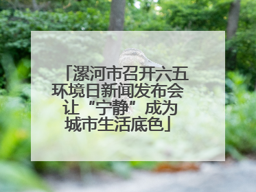 漯河市召开六五环境日新闻发布会 让“宁静”成为城市生活底色