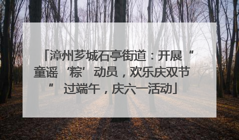 漳州芗城石亭街道：开展“童谣‘粽’动员，欢乐庆双节” 过端午，庆六一活动