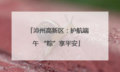 漳州高新区：护航端午 “粽”享平安