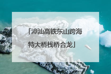 漳汕高铁东山跨海特大桥栈桥合龙