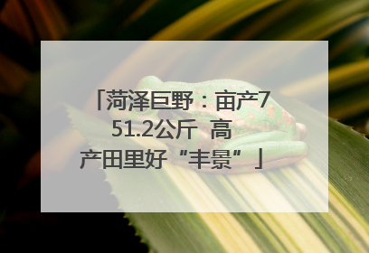 菏泽巨野：亩产751.2公斤  高产田里好“丰景”