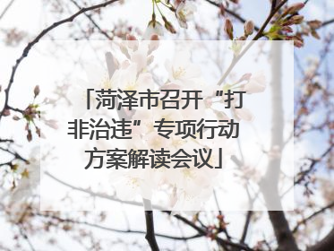 菏泽市召开“打非治违”专项行动方案解读会议