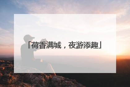 荷香满城，夜游添趣