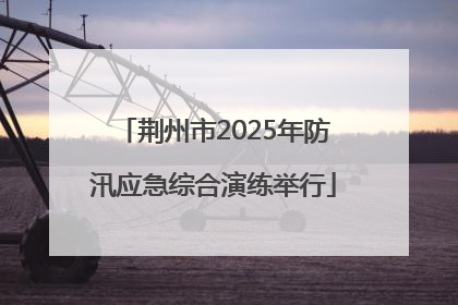 荆州市2025年防汛应急综合演练举行