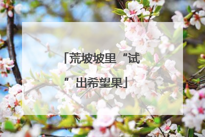 荒坡坡里“试”出希望果