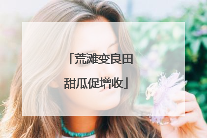 荒滩变良田 甜瓜促增收