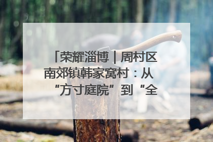 荣耀淄博｜周村区南郊镇韩家窝村：从“方寸庭院”到“全域文明”，乡村振兴的“美学革命”