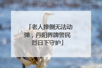 老人摔倒无法动弹，丹阳界牌警民烈日下守护