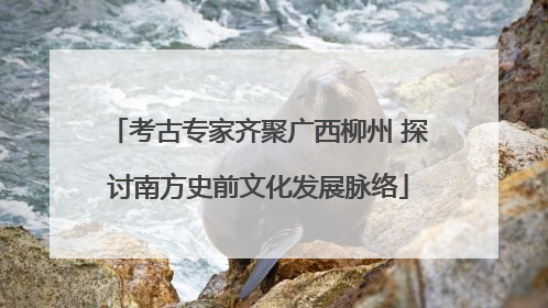 考古专家齐聚广西柳州 探讨南方史前文化发展脉络