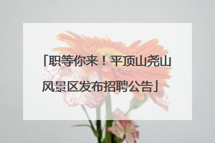 职等你来！平顶山尧山风景区发布招聘公告