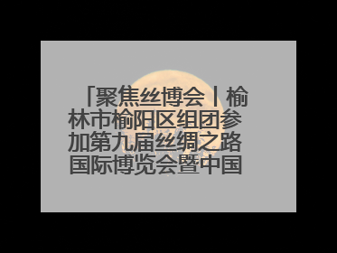 聚焦丝博会丨榆林市榆阳区组团参加第九届丝绸之路国际博览会暨中国东西部合作与投资贸易洽谈会