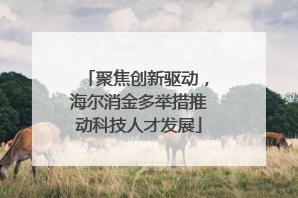 聚焦创新驱动，海尔消金多举措推动科技人才发展