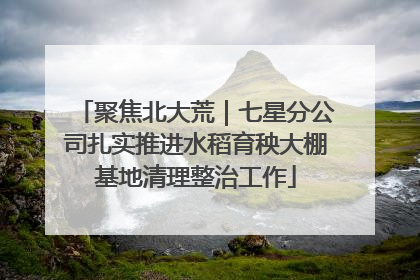 聚焦北大荒｜七星分公司扎实推进水稻育秧大棚基地清理整治工作