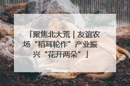 聚焦北大荒｜友谊农场“稻耳轮作”产业振兴“花开两朵”
