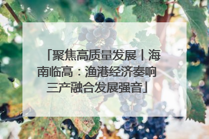 聚焦高质量发展丨海南临高：渔港经济奏响三产融合发展强音