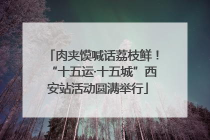 肉夹馍喊话荔枝鲜！“十五运·十五城”西安站活动圆满举行