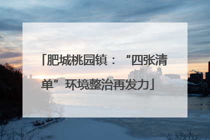 肥城桃园镇：“四张清单”环境整治再发力
