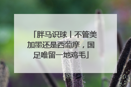 胖马识球丨不管美加墨还是西葡摩，国足唯留一地鸡毛