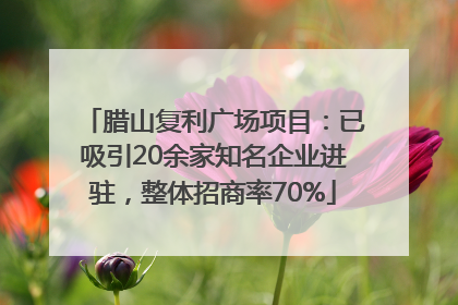 腊山复利广场项目：已吸引20余家知名企业进驻，整体招商率70%