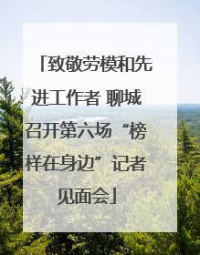 致敬劳模和先进工作者 聊城召开第六场“榜样在身边”记者见面会