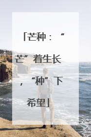 芒种：“芒”着生长，“种”下希望