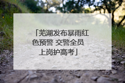 芜湖发布暴雨红色预警 交警全员上岗护高考