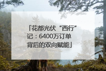 花都光伏“西行”记：6400万订单背后的双向赋能