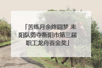 苦练月余终圆梦 耒阳队勇夺衡阳市第三届职工龙舟赛金奖