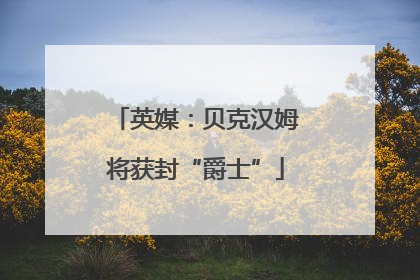 英媒：贝克汉姆将获封“爵士”