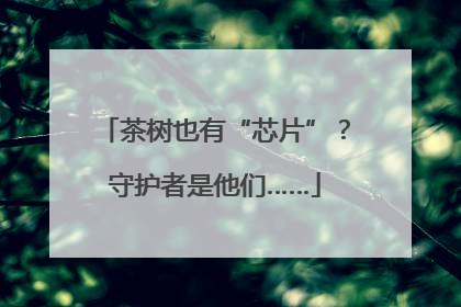 茶树也有“芯片”？守护者是他们……